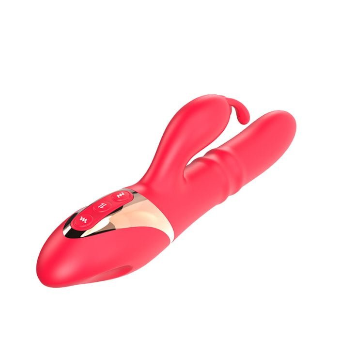 L&B--Vibrador com Estimulador de Clitóris 3 Modos de Vibração e Anel Vai e Vem Recarregável Cod. XE 1011 - Image 2