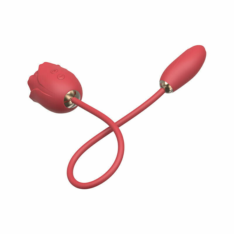 L&Z - Vibrador Duplo com Estimulador de Clitóris Formato ROSA Com Sucção e Vibração Recarregável Cod. ML 007. - Imagem 4