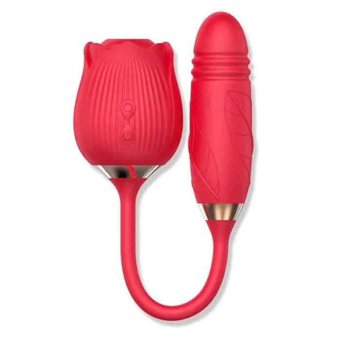 L&Z- Vibrador Duplo Vai e Vem e Pulsação Formato ROSA Cod. ML-M013