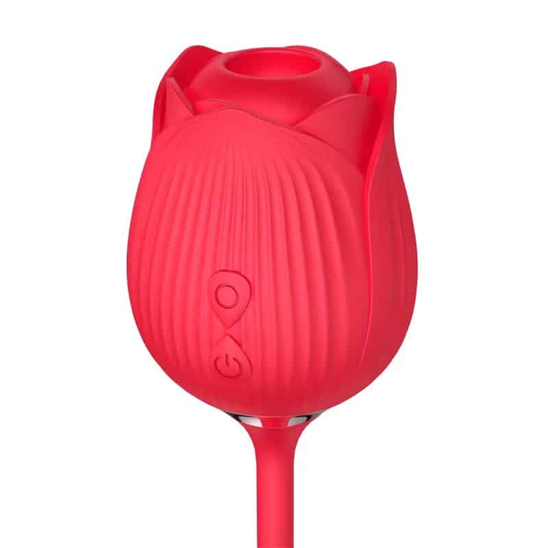 L&Z- Vibrador Duplo Vai e Vem e Pulsação Formato ROSA Cod. ML-M013 - Imagem 3