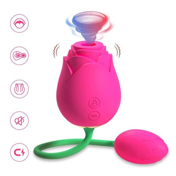 L&B--Vibrador com Estimulador de Clitóris com 10 Modos de Vibração e Pulsação Formato ROSA Recarregável Cod. KKG 1010