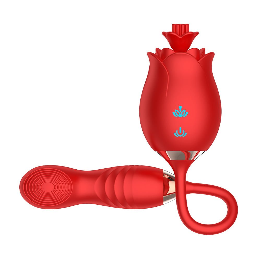 L&B--Vibrador Duplo com 10 Modos de Vibração Recarregável Formato ROSA Cod. KKT 1002 - Imagem 2