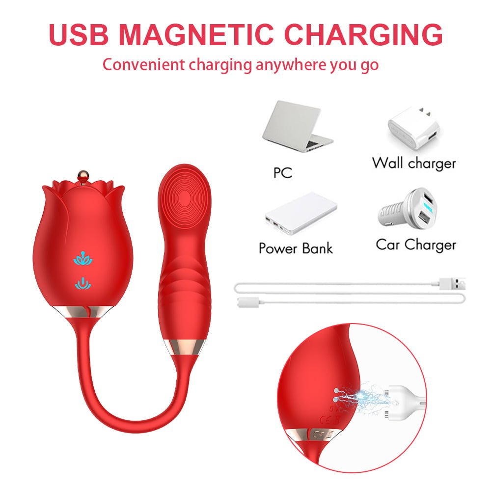 L&B--Vibrador Duplo com 10 Modos de Vibração Recarregável Formato ROSA Cod. KKT 1002 - Imagem 3